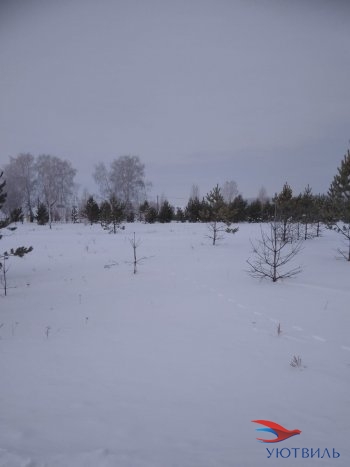 Земельный участок поселок Баженово в Саки - saki.yutvil.ru - фото 2 Земельный участок поселок Баженово в Саки - saki.yutvil.ru - фото 2