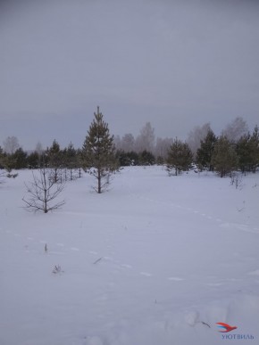 Баженово ул Южная д 7 в Саки - saki.yutvil.ru - фото 5 Баженово ул Южная д 7 в Саки - saki.yutvil.ru - фото 5