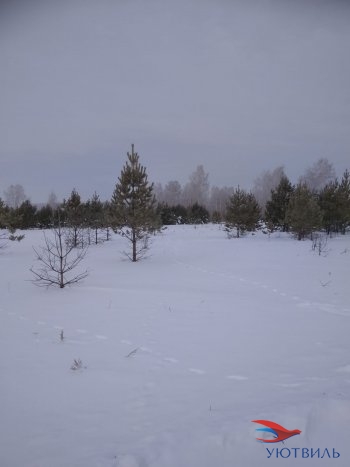 Земельный участок поселок Баженово в Саки - saki.yutvil.ru - фото 5 Земельный участок поселок Баженово в Саки - saki.yutvil.ru - фото 5
