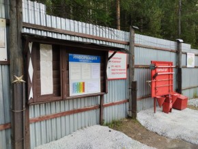 г.Верхняя Пышма СНТ №5 Березки в кв. 22 Среднеуральского Уралмашевского лесхоза в Саки - saki.yutvil.ru - фото 18