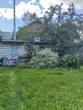 Коллективный сад номер 7, участок 58 в Саки - saki.yutvil.ru - фото 21 Коллективный сад номер 7, участок 58 в Саки - saki.yutvil.ru - фото 21