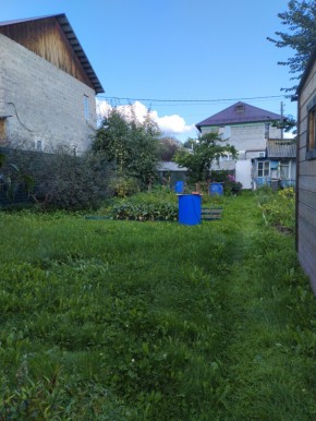Коллективный сад номер 7, участок 58 в Саки - saki.yutvil.ru - фото 26 Коллективный сад номер 7, участок 58 в Саки - saki.yutvil.ru - фото 26