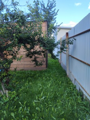 Коллективный сад номер 7, участок 58 в Саки - saki.yutvil.ru - фото 27 Коллективный сад номер 7, участок 58 в Саки - saki.yutvil.ru - фото 27