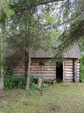 СНТ Калининец-10, уч. 1-11-3 в Саки - saki.yutvil.ru - фото 1 СНТ Калининец-10, уч. 1-11-3 в Саки - saki.yutvil.ru - фото 1