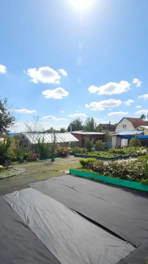СНТ Машиностроитель, уч.166 в Саки - saki.yutvil.ru - фото 17