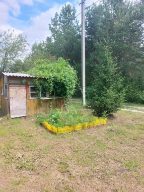 СНТ Родники в Саки - saki.yutvil.ru - фото 1 СНТ Родники в Саки - saki.yutvil.ru - фото 1