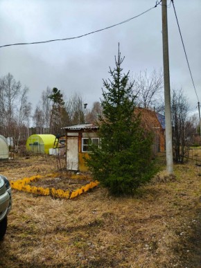 СНТ Родники в Саки - saki.yutvil.ru - фото 5 СНТ Родники в Саки - saki.yutvil.ru - фото 5