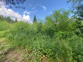 СПК Юбилейный, уч. 9 в Саки - saki.yutvil.ru - фото 13 СПК Юбилейный, уч. 9 в Саки - saki.yutvil.ru - фото 13