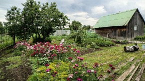 ул. 8-е Марта,46 в Саки - saki.yutvil.ru - фото 10 ул. 8-е Марта,46 в Саки - saki.yutvil.ru - фото 10