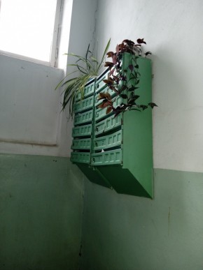ул. Бажова,11 в Саки - saki.yutvil.ru - фото 2