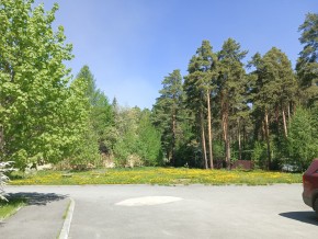 ул. Сосновая, 8 в Саки - saki.yutvil.ru - фото 26 ул. Сосновая, 8 в Саки - saki.yutvil.ru - фото 26
