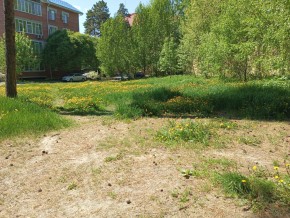 ул. Сосновая, 8 в Саки - saki.yutvil.ru - фото 33 ул. Сосновая, 8 в Саки - saki.yutvil.ru - фото 33